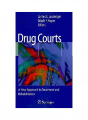 Drug Courts: A New Approach To Treatment And Rehabilitation Paperback