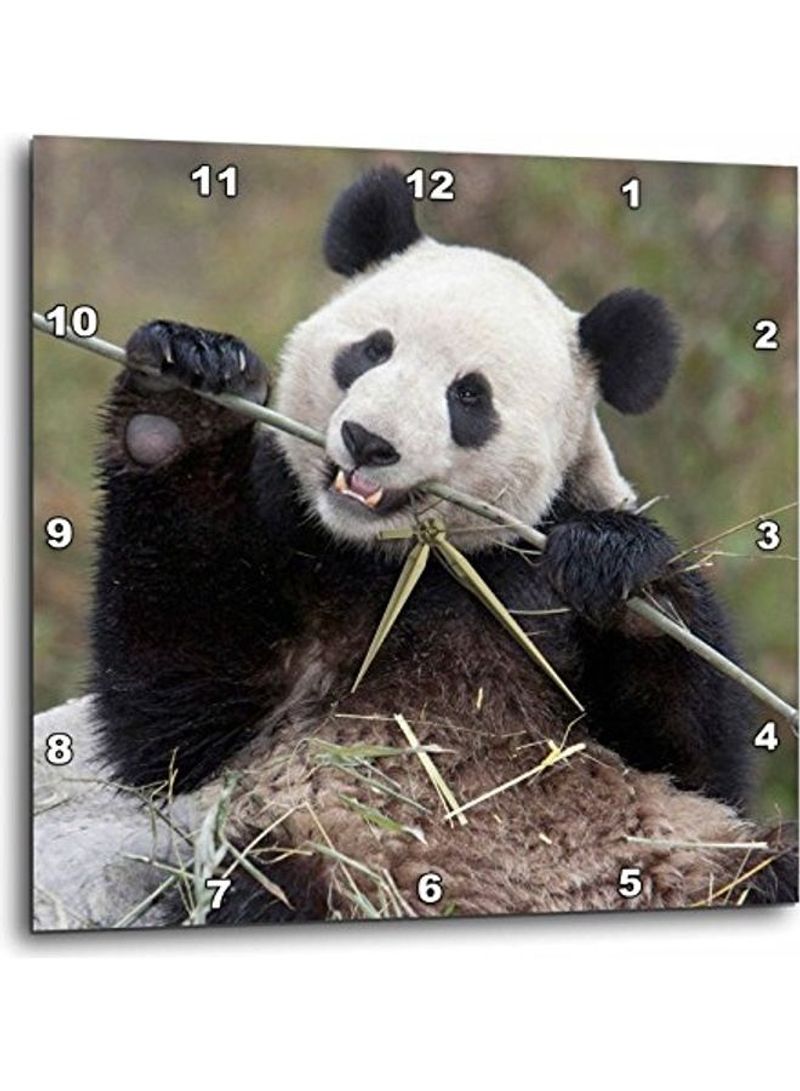 Giant Panda Bear Eating Bamboo Wall Clock Multicolour 15x15inch