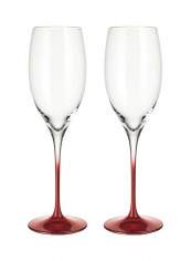 2-Piece Allgorie Premium Rosewood Beverage Glass Set Clear/Red 395ml