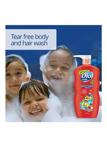 Pack Of 4 Body And Hair Wash Set 24ounce
