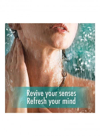 4-Piece Pure Zen Relaxing Body Wash 443ml
