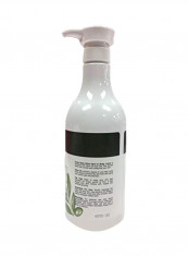 Olive Hand And Body Lotion 30ounce