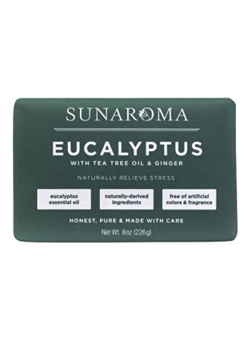 Eucalyptus with Tea Tree Oil And Ginger Soap 8ounce