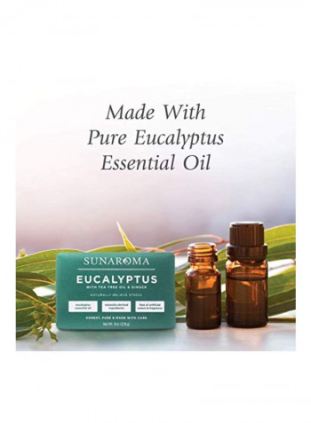 Eucalyptus with Tea Tree Oil And Ginger Soap 8ounce