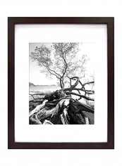 Decorative Art Frame With Opening Mat Black/White 16x20inch
