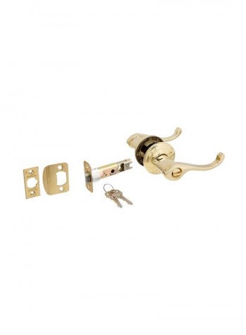 Door Lock Gold