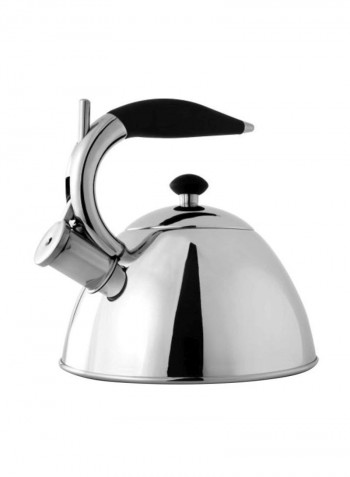 Stainless Steel Kettle Silver 9.2x8.1x9inch