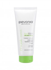 SpaTeen Papaya Hydraboost Mask 6.8ounce reviews SpaTeen Papaya Hydraboost Mask 6.8ounce
