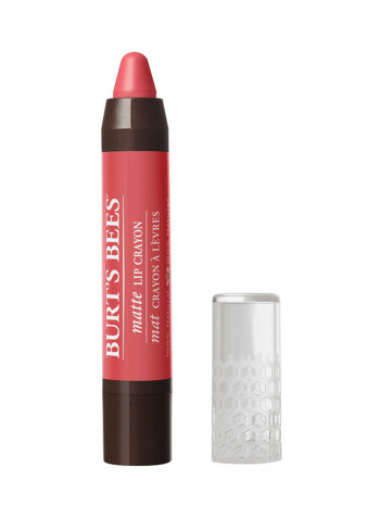 Lip Crayon 417 Niagara Overlook
