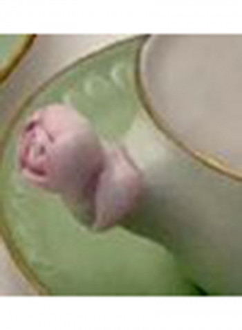 Coffee Cup With Rose And Saucer Spring Green/Baby Rose 5X12cm