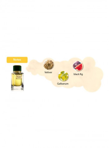 Velvet Vetiver EDP 50ml