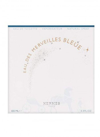 Eau Des Merveilles Bleue EDT 100ml