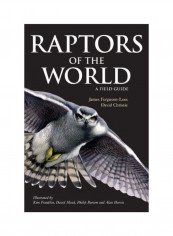 Raptors Of The World : A Field Guide Paperback