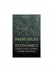 Principles Of Economics: Palgrave Classics In Economics Paperback