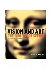 Vision And Art: The Biology Of Seeing Hardcover