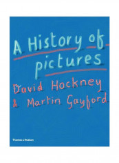 A History Of Pictures : From The Cave To The Computer Screen Hardcover