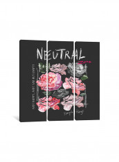 3-Piece Canvas Print Neutral Zone Wall Art Multicolour 150 x 150 x 3.5centimeter