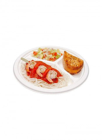 100-Piece Disposable Plate White 10inch