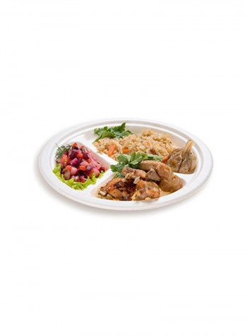 100-Piece Disposable Plate White 10inch