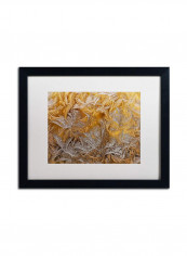 Frosted Filagree Framed Wall Art Multicolour 16 x 20inch