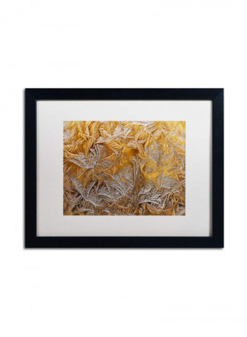 Frosted Filagree Framed Wall Art Multicolour 16 x 20inch
