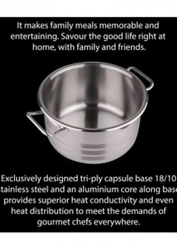 Casserole Pot With Lid Silver 30x45cm