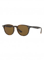 Wayfarer Sunglasses