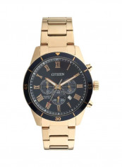 Men's Water Resistant Chronograph Watch AN8169-58L