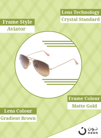 Men's Classic Aviator Sunglasses