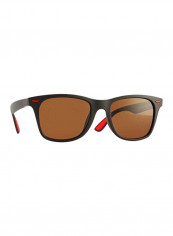 Men's Wayfarer Sunglasses