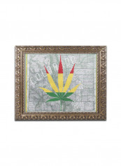 Legalized I Colorado Framed Wall Art Multicolour 11 x 14inch