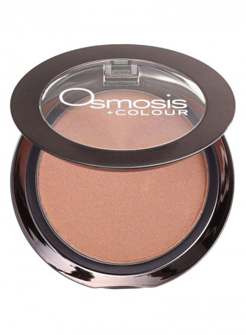 Professional Make-Up Blush Spring Crush
