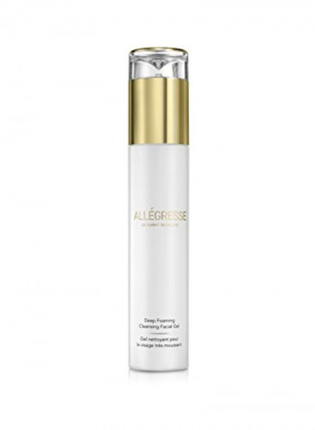 24K Gold Deep Foaming Facial Cleanser 4ounce