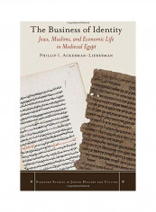 The Business Of Identity: Jews, Muslims, And Economic Life In Medieval Egypt Hardcover