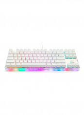Gaming Mechanical Keyboard Rgb Rainbow Backlit Transparent Bottom Anti-ghosting 87 Keys, Illuminated Usb Gaming Keyboard For Mac/Pc/Laptop Red Switches reviews Gaming Mechanical Keyboard Rgb Rainbow Backlit Transparent Bottom Anti-ghosting 87 Keys, Illuminated Usb Gaming Keyboard For Mac/Pc/Laptop Red Switches