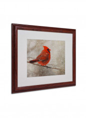Cardinal In Winter Wooden Framed Wall Art Multicolour 16 x 20inch