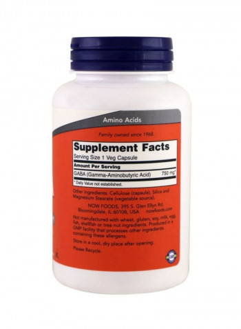 Pack Of 3 Gaba Dietary Supplement 750mg - 100 Veg Capsules