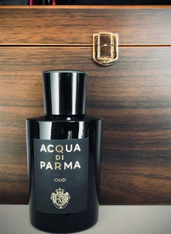 Oud EDP 100ml