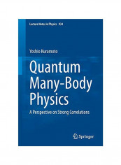 Quantum Many-Body Physics: A Perspective On Strong Correlations Paperback