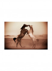 Horses In Sepia Hue On Canvas Painting Brown 70x45centimeter