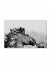 Horses On Canvas Painting Black /White 70x45centimeter