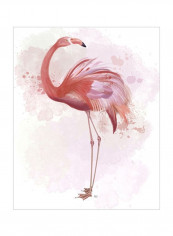 Fluffy Flamingo 3 Posters Pink/Black 80x85x3.5centimeter