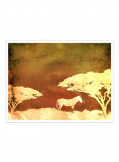 Safari Sunrise III Wall Poster Brown/Grey/White 80x75x3.5centimeter