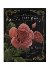 Botanical Collection III Wall Poster Black/Red/Green 80x85x3.5centimeter
