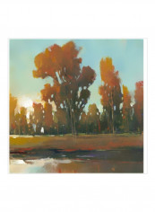 Late Afternoon Fall Wall Poster Blue/Orange/Green 75x75x3.5centimeter