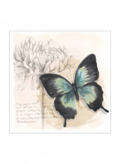 Shadow Box Butterfly III Wall Poster Green/Black/White 80x80x3.5centimeter