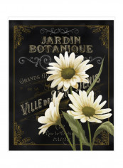 Botanical Collection I Poster White/Black/Green 80x85x3.5centimeter