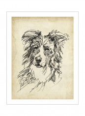 Breed Studies V Wall Poster Beige/Black 75x80x3.5centimeter