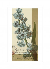 French Blue III Wall Poster Beige/Blue/Green 60x80x3.5centimeter