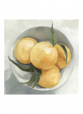 Fruit Bowl I Poster Yellow/Grey/Green 80x80x3.5centimeter